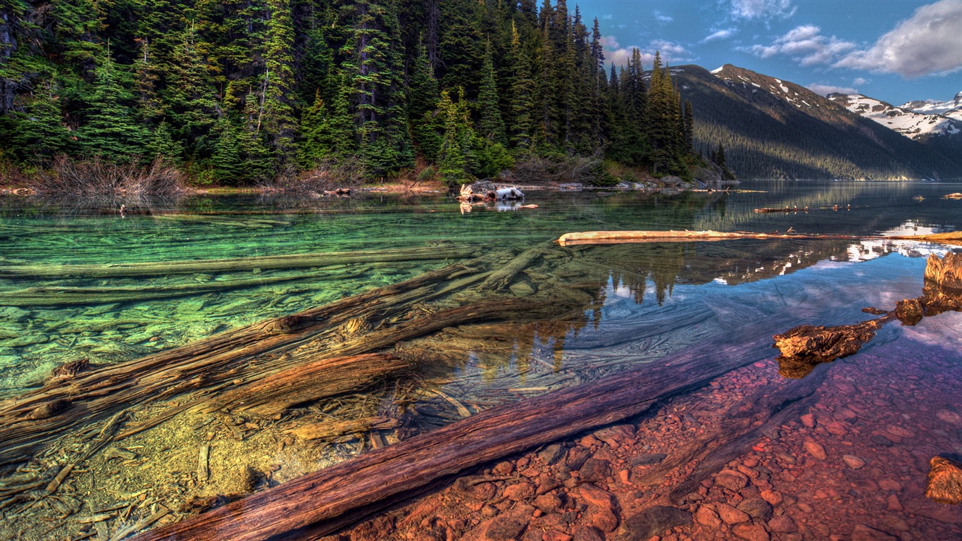 호수, 바다, 나무, 숲, 산, 아름다운 풍경을 배경 화면 #9 - 1366x768