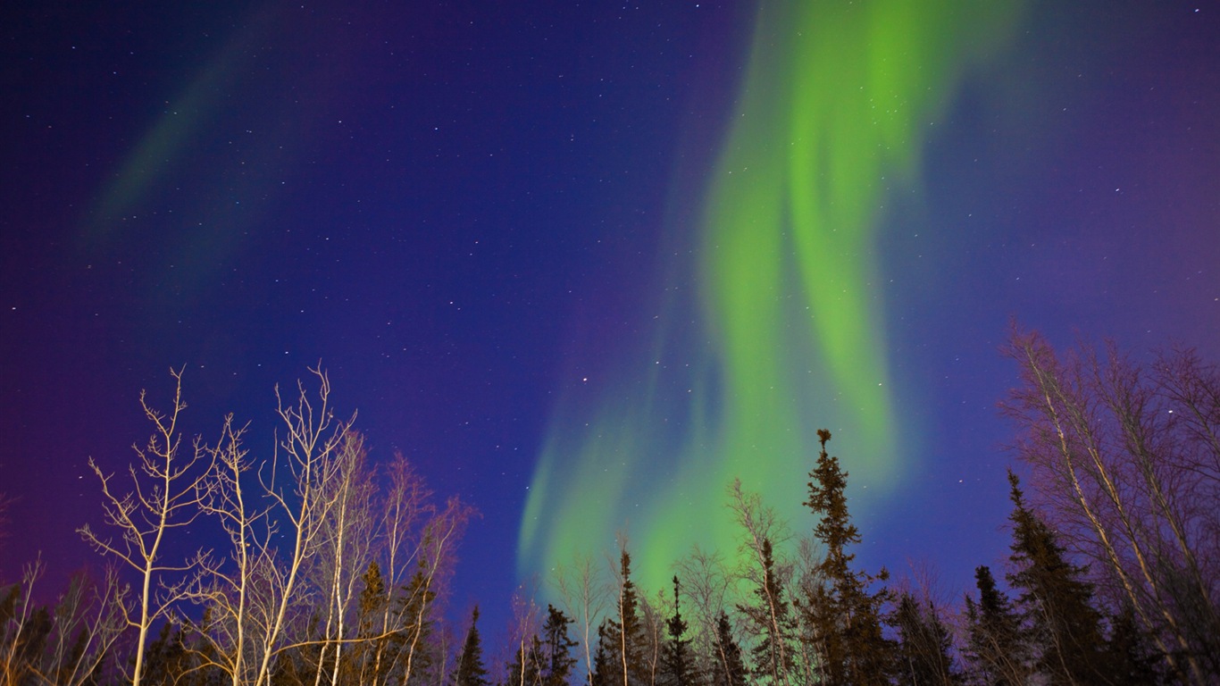 Natural wonders of the Northern Lights HD Wallpaper (2) #20 - 1366x768