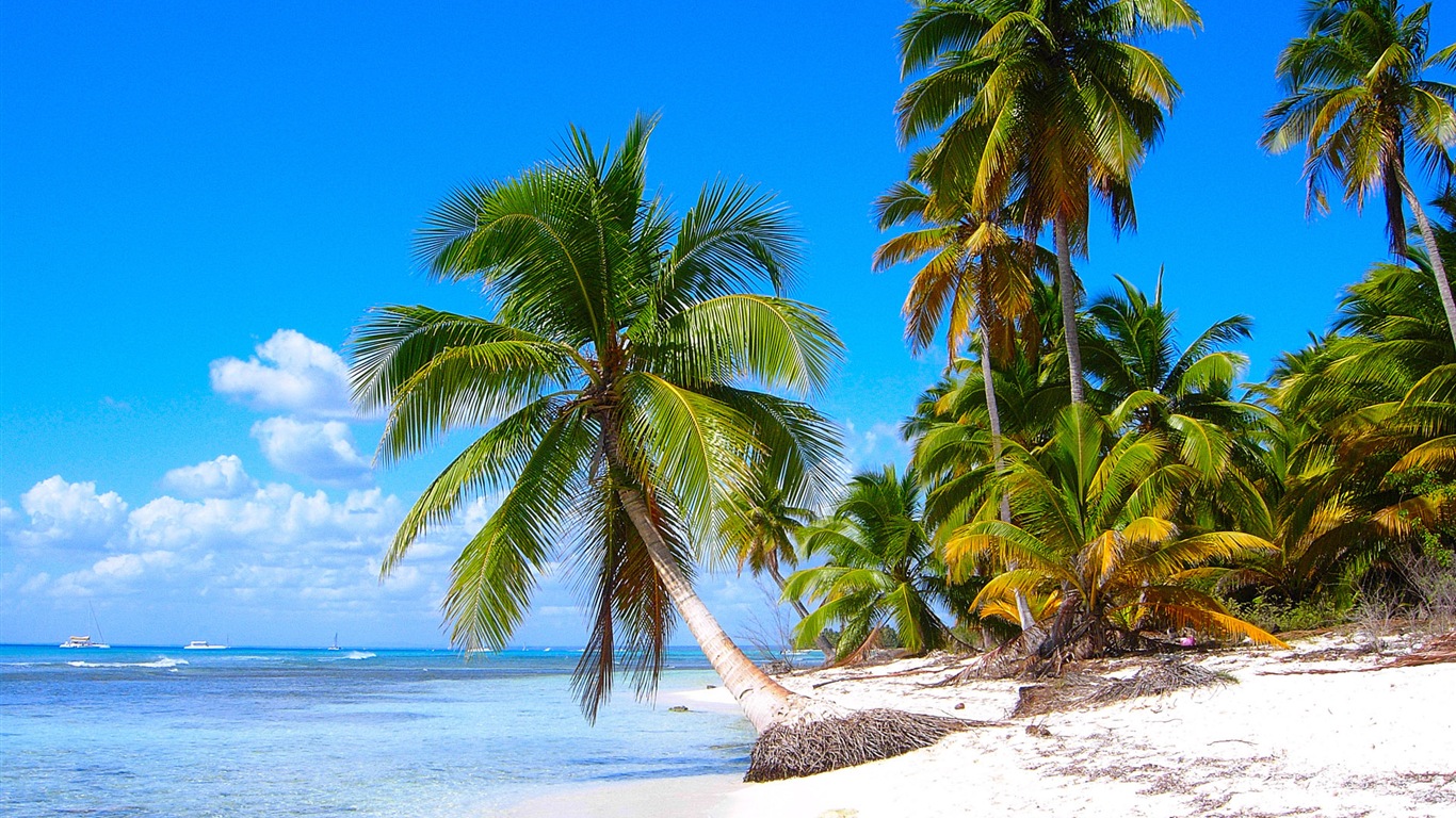 Windows 8: Fonds d'écran Shores Caraïbes #2 - 1366x768
