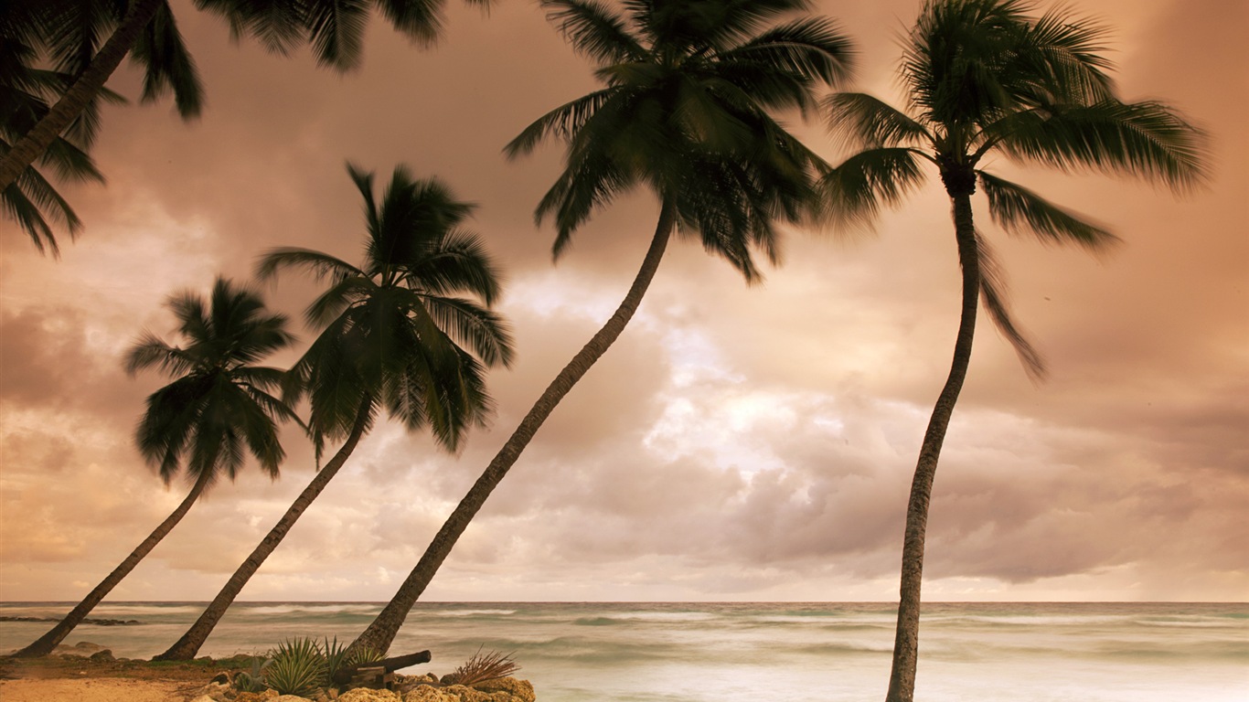 Windows 8 壁纸：加勒比海滨7 - 1366x768
