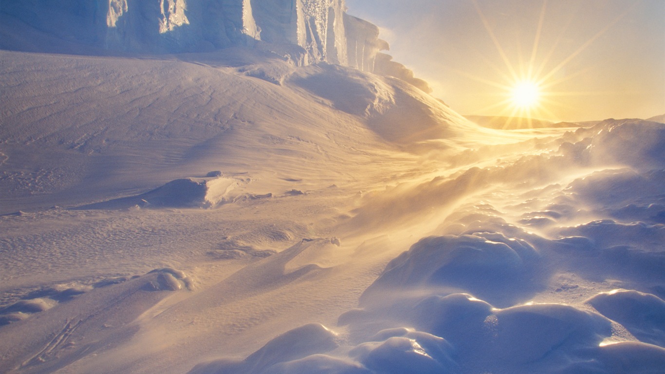 윈도우 8 배경 화면 : 남극, 눈 풍경, 남극 펭귄 #9 - 1366x768