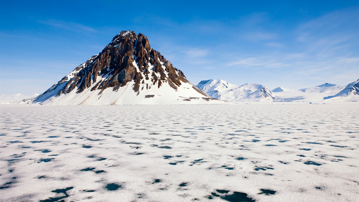 Windows 8 Wallpapers: Arctic, the nature ecological landscape, arctic animals #1 - 1366x768
