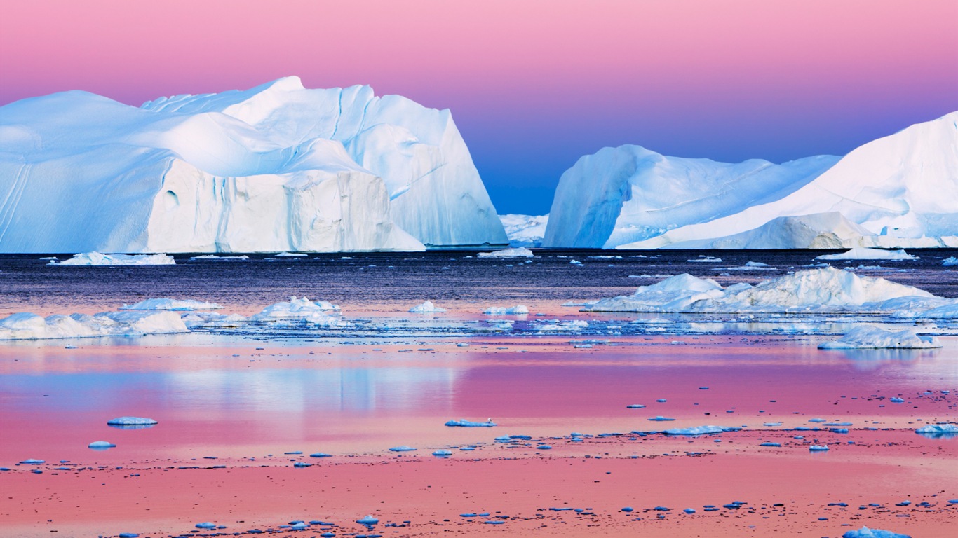 Windows 8 壁紙：北極圈，自然生態風景，北極動物 #7 - 1366x768