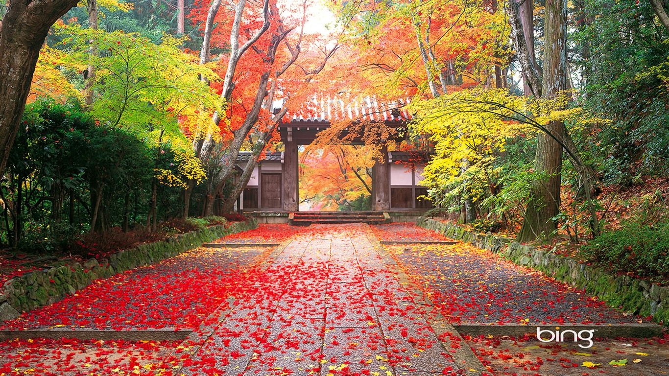 マイクロソフトBing HDの壁紙：日本の風景テーマの壁紙 #1 - 1366x768
