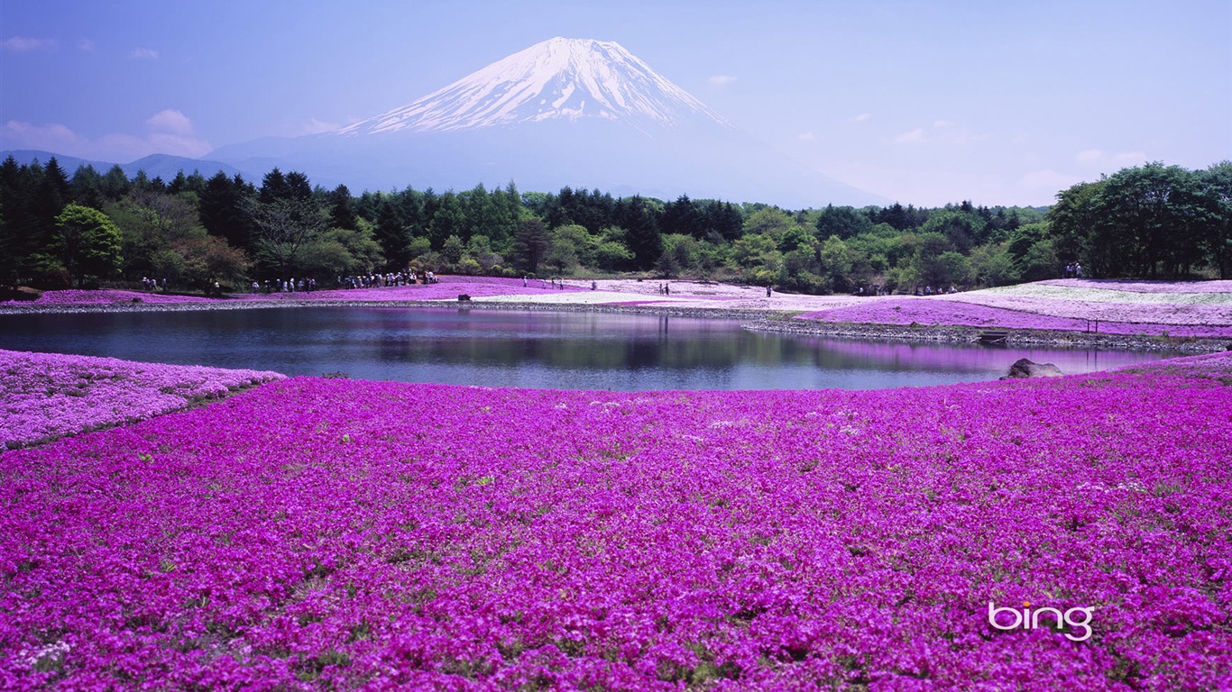 Microsoft Bing écran HD: Japonais papier peint thème du paysage #11 - 1366x768
