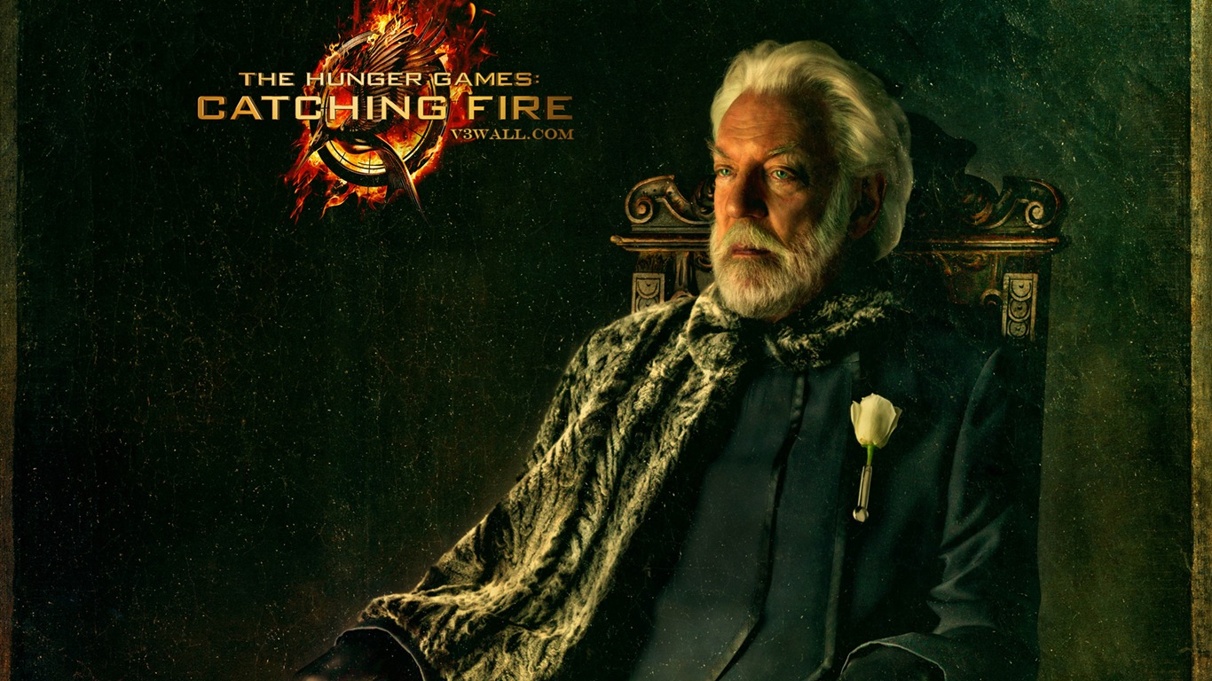 The Hunger Games: Catching Fire 饥饿游戏2：星火燎原 高清壁纸3 - 1366x768