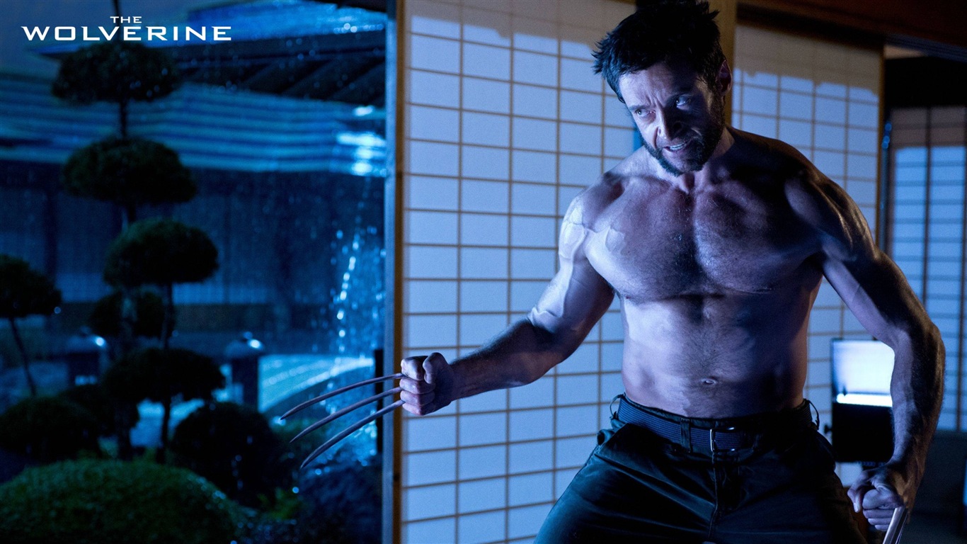 Wolverine 2013 HD tapety na plochu #6 - 1366x768