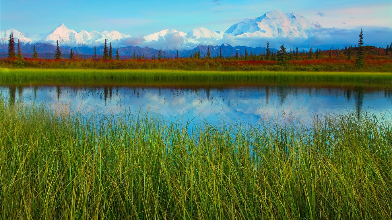 Denali National Park 丹那利国家公园 高清风景壁纸11 - 1366x768