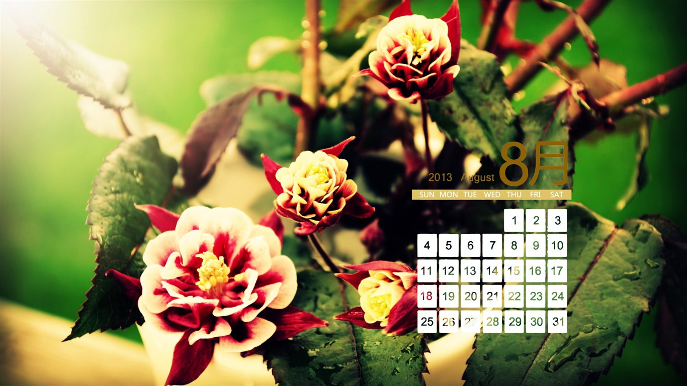 08 2013 calendario fondo de pantalla (1) #18 - 1366x768