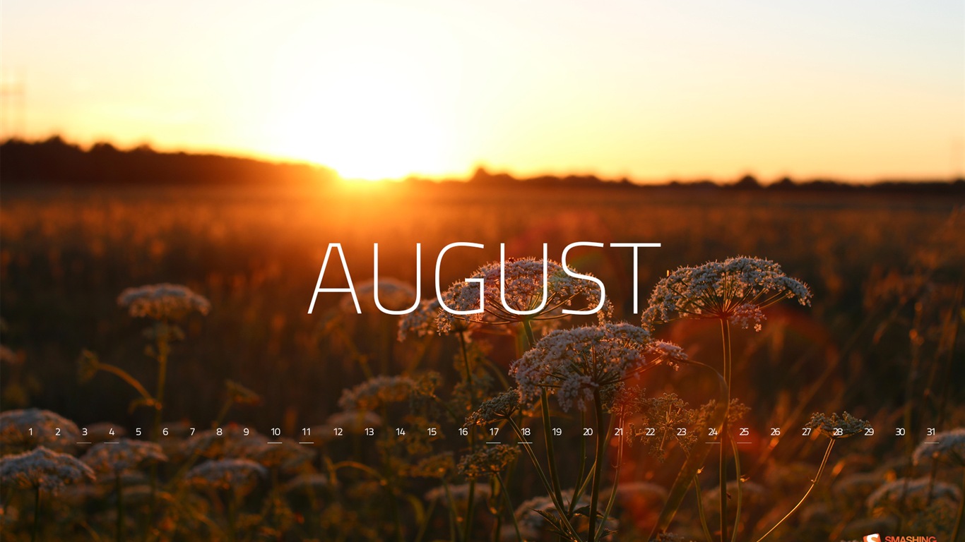 Август 2013 календарь обои (2) #2 - 1366x768