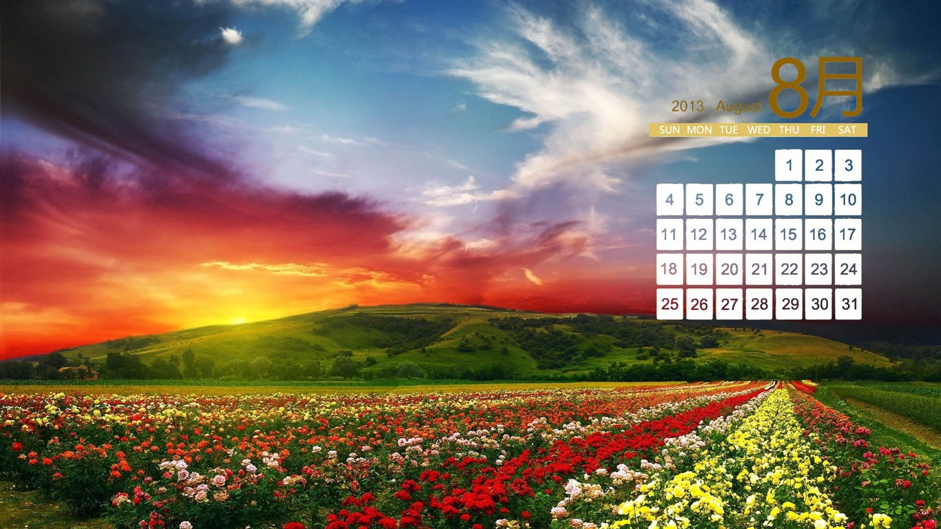 08 2013 calendario fondo de pantalla (2) #18 - 1366x768