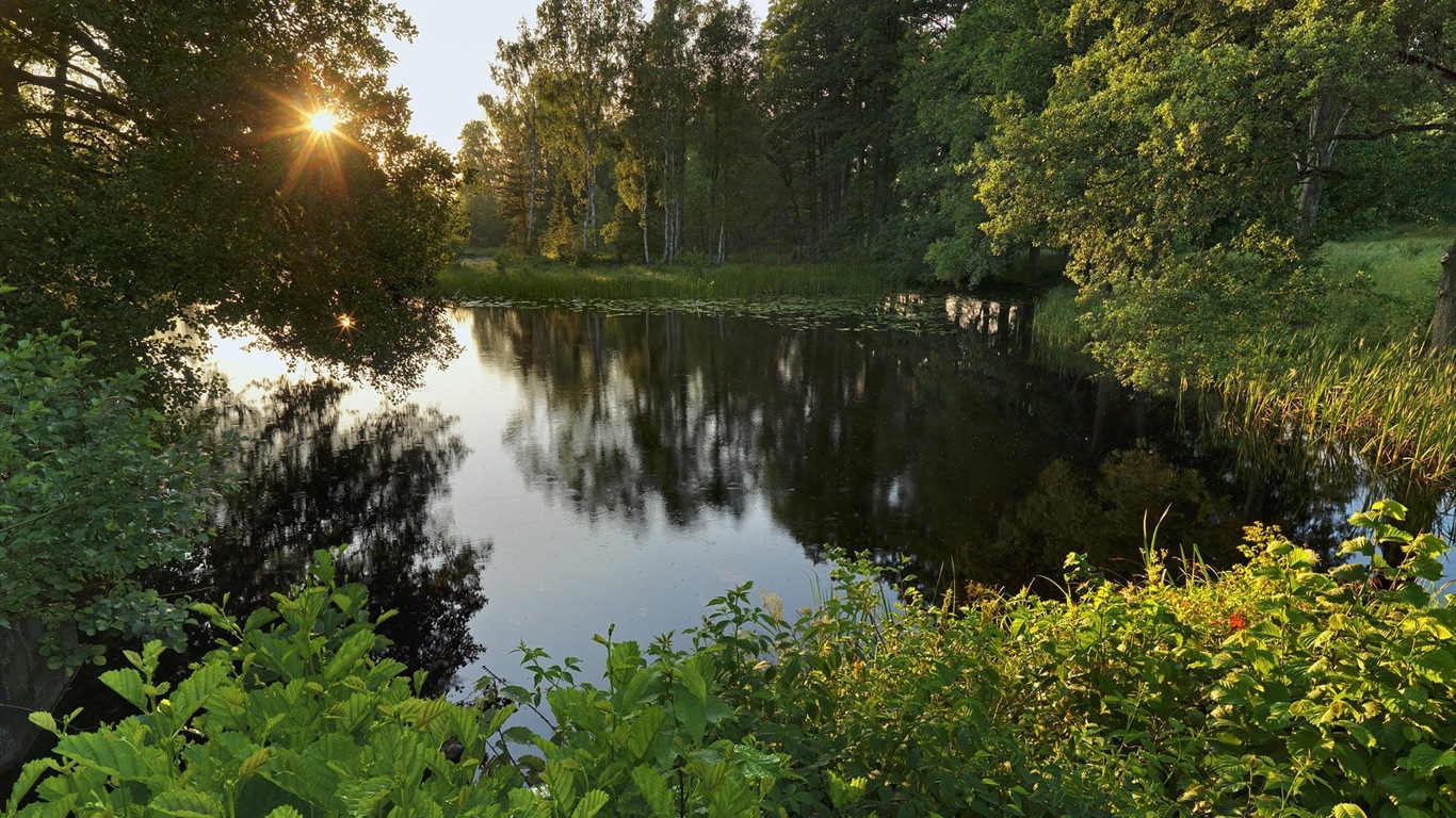 Švédsko sezón přírodní krásy HD tapety na plochu #3 - 1366x768