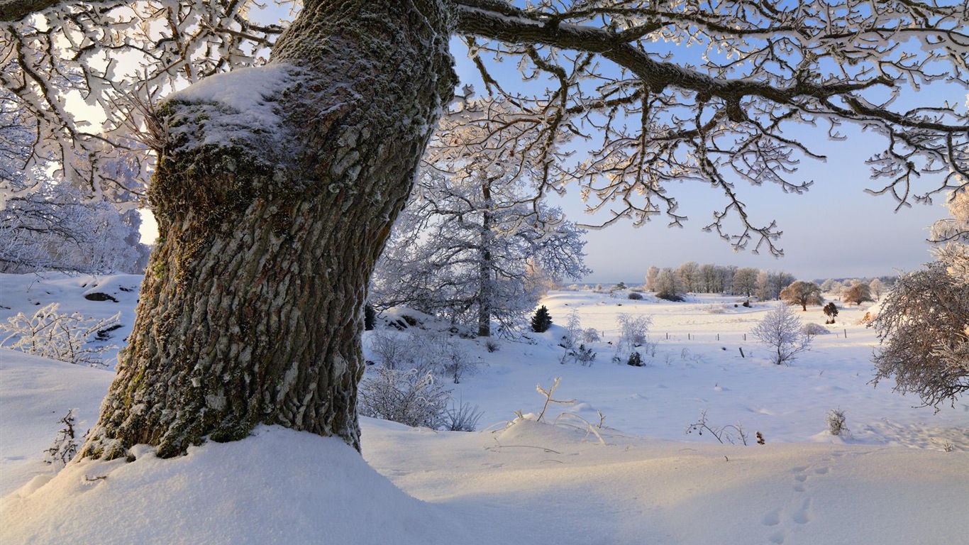 스웨덴 사계절 자연의 아름다움 HD 배경 화면 #13 - 1366x768