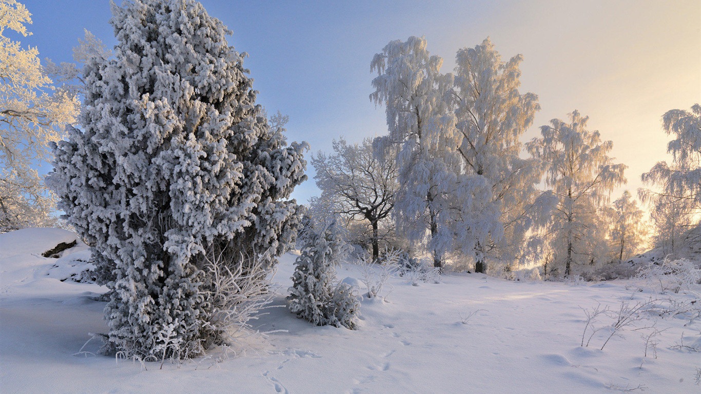 스웨덴 사계절 자연의 아름다움 HD 배경 화면 #19 - 1366x768