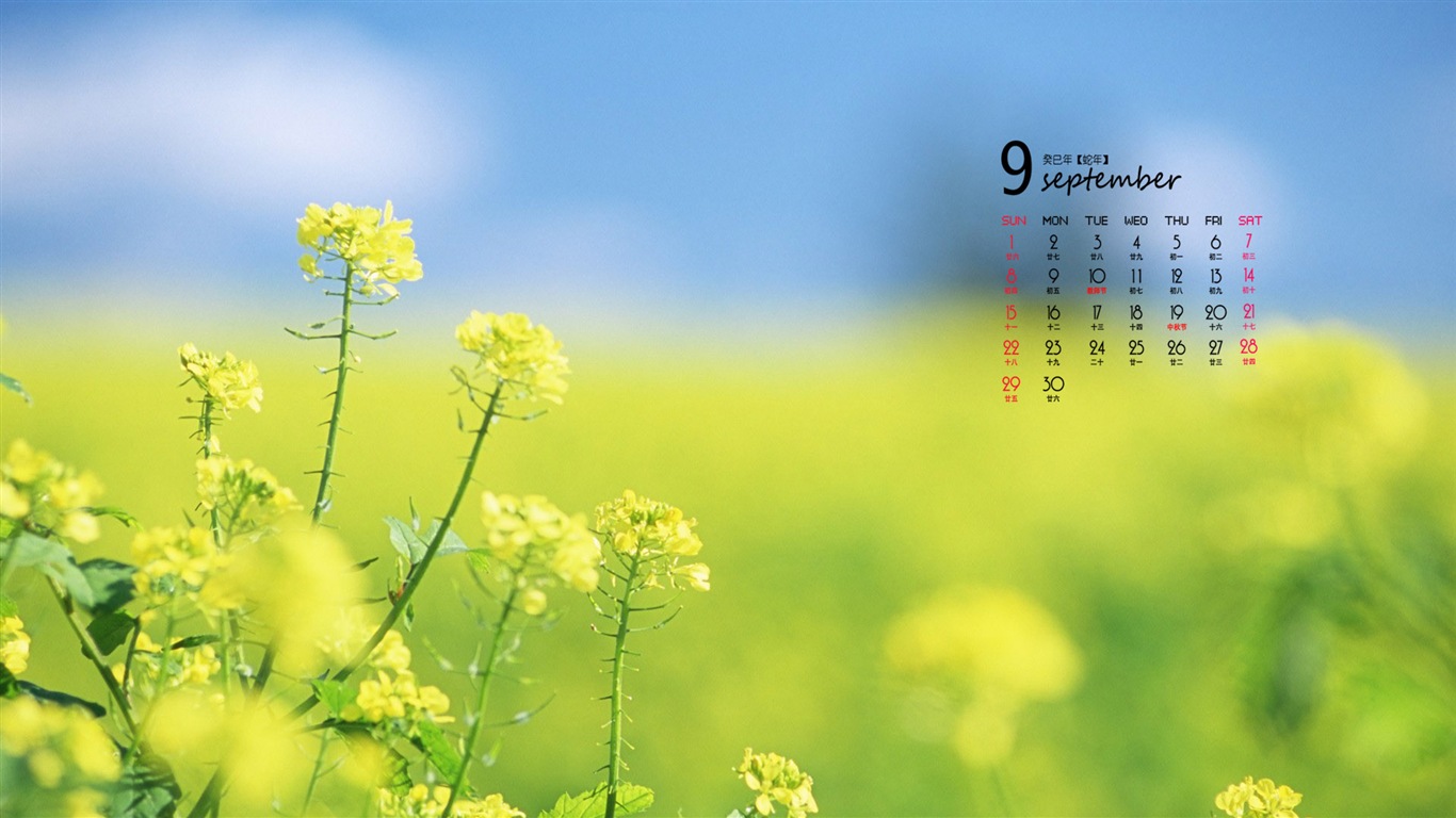 09 2013 Calendar fondo de pantalla (1) #4 - 1366x768
