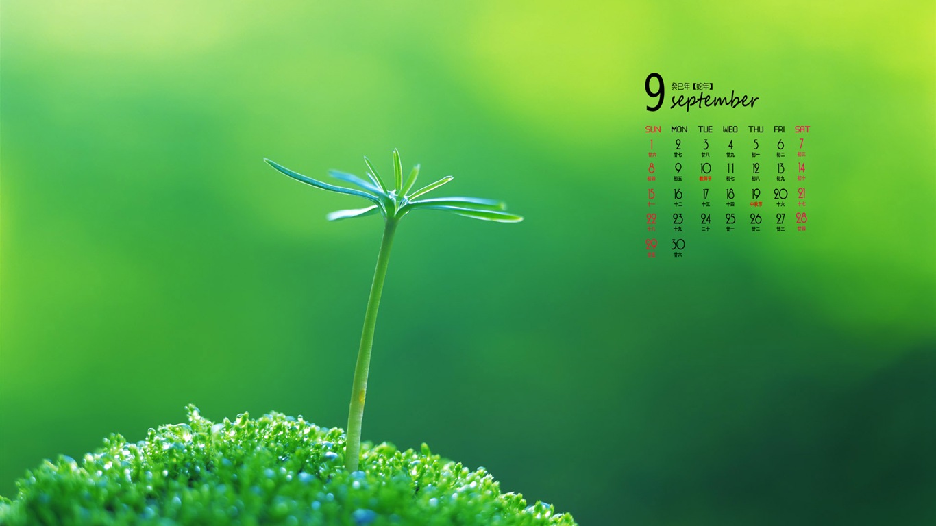 09 2013 Calendar fondo de pantalla (1) #5 - 1366x768