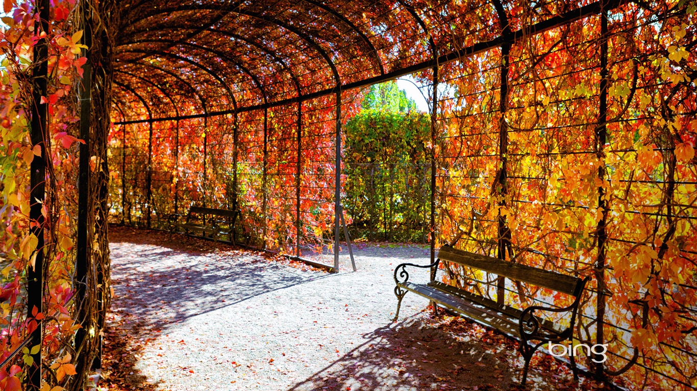2013 Bing Herbst Landschaften, Tiere, urban HD Wallpaper #23 - 1366x768