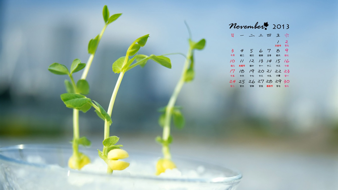 Ноябрь 2013 Календарь обои (1) #10 - 1366x768