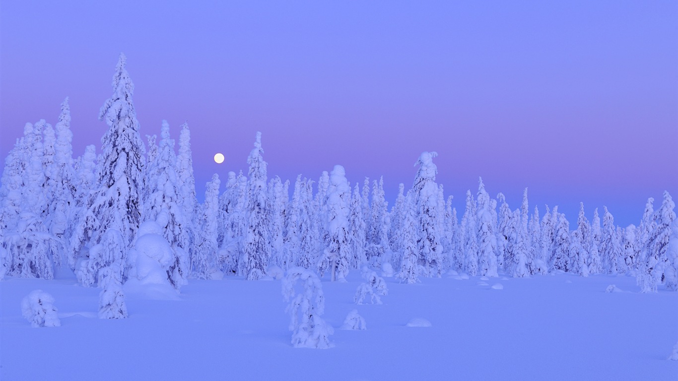 Windowsの8テーマのHD壁紙：冬の雪の夜 #12 - 1366x768
