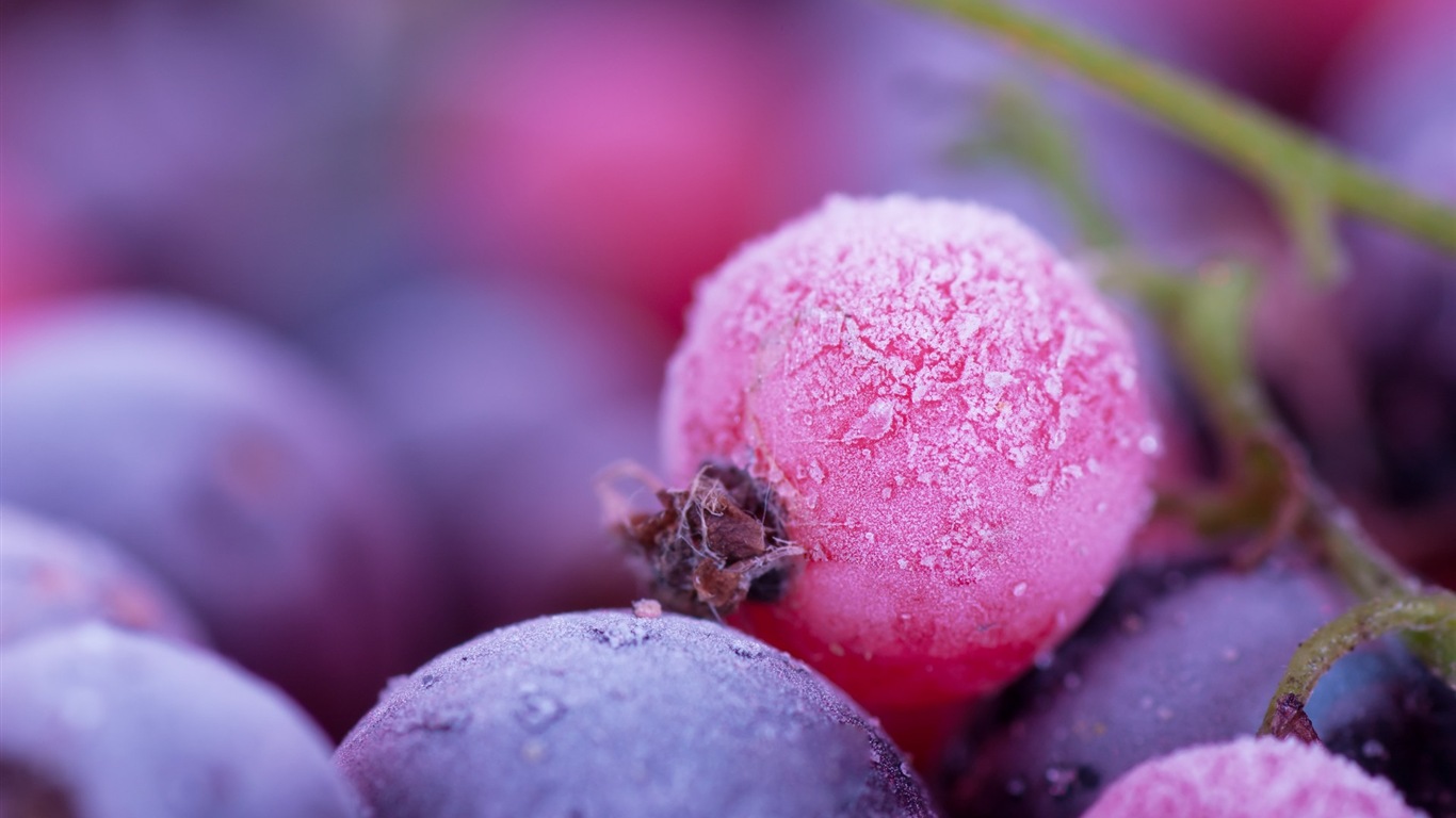 겨울 딸기, 서리 눈의 HD 배경 화면 #12 - 1366x768