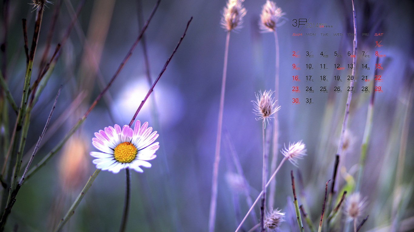 Mars 2014 calendriers fond d'écran (1) #7 - 1366x768