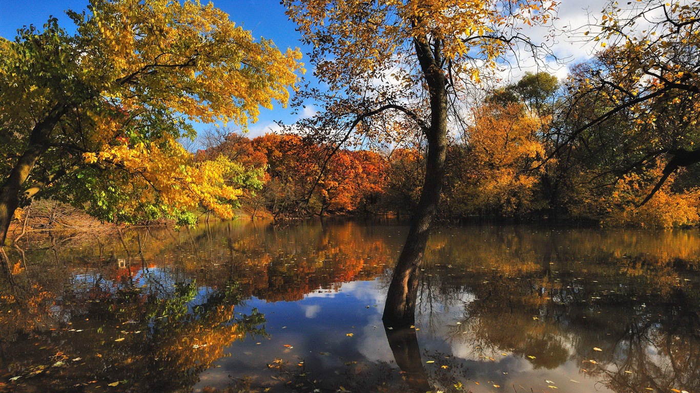 Reflection in the water natural scenery wallpaper #14 - 1366x768