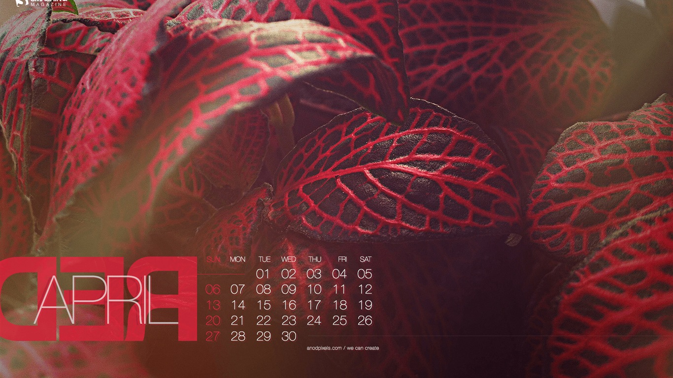 Avril 2014 calendriers fond d'écran (2) #20 - 1366x768