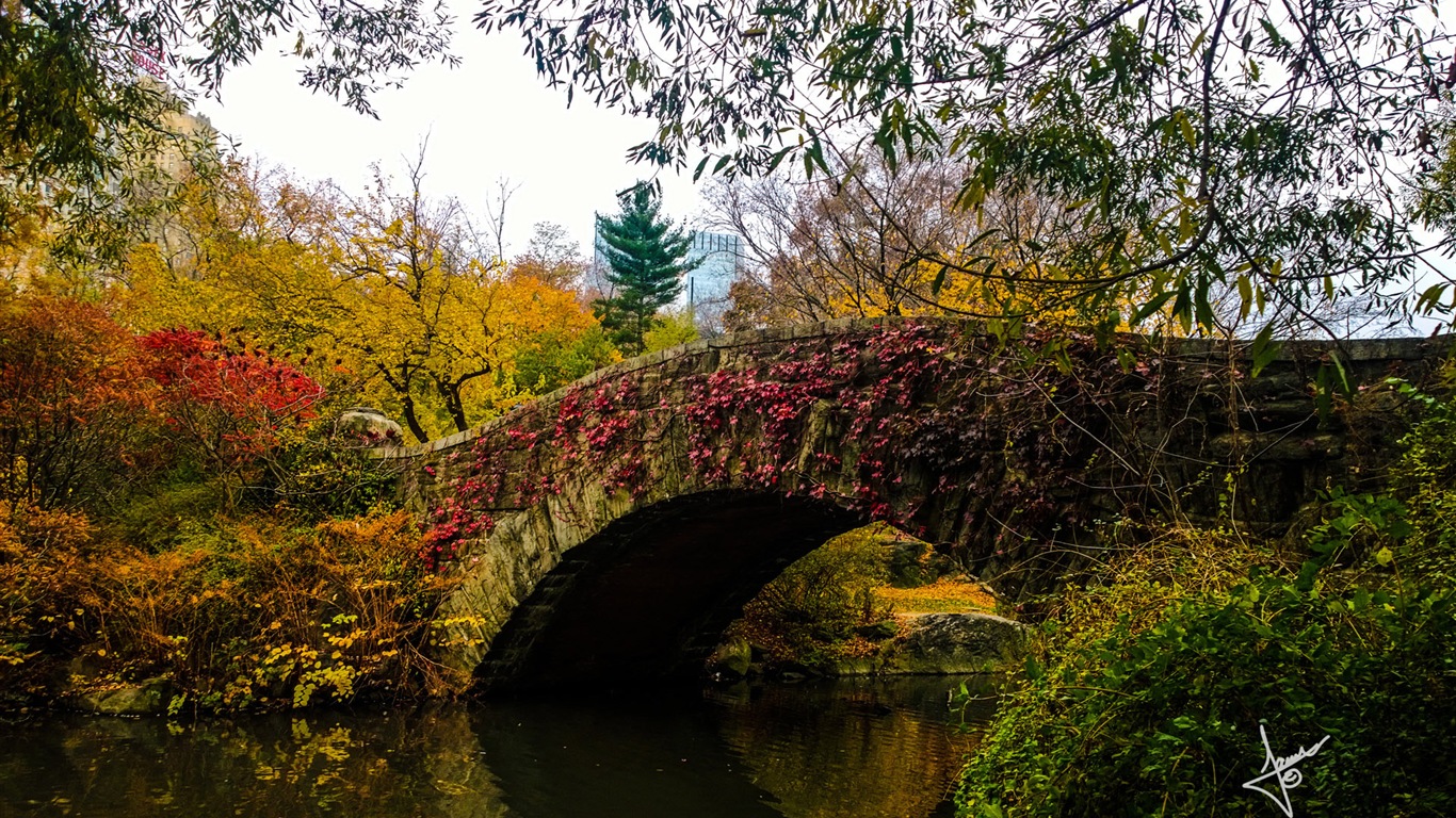 Paisajes urbanos de Nueva York, Microsoft Windows 8 fondos de pantalla de alta definición #17 - 1366x768