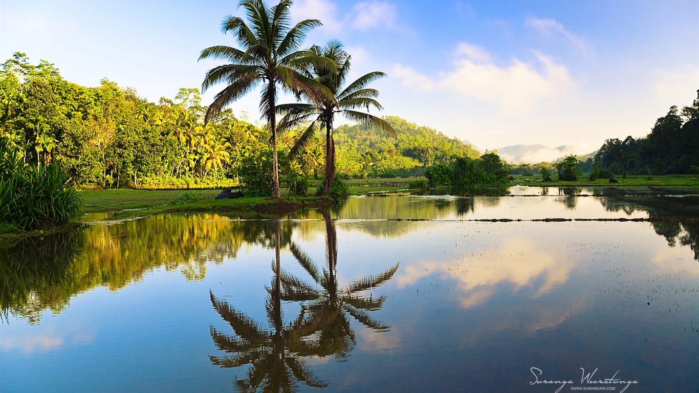 Sri Lanka Landschaftsstil, Windows 8 Theme Wallpaper #11 - 1366x768