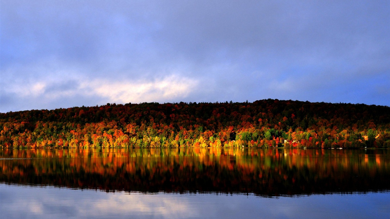 Wasser und Bäume im Herbst HD Wallpaper #3 - 1366x768