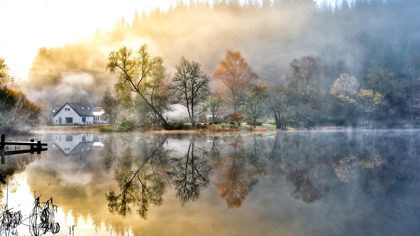 Foggy podzimní listí a stromy HD Tapety na plochu #5 - 1366x768