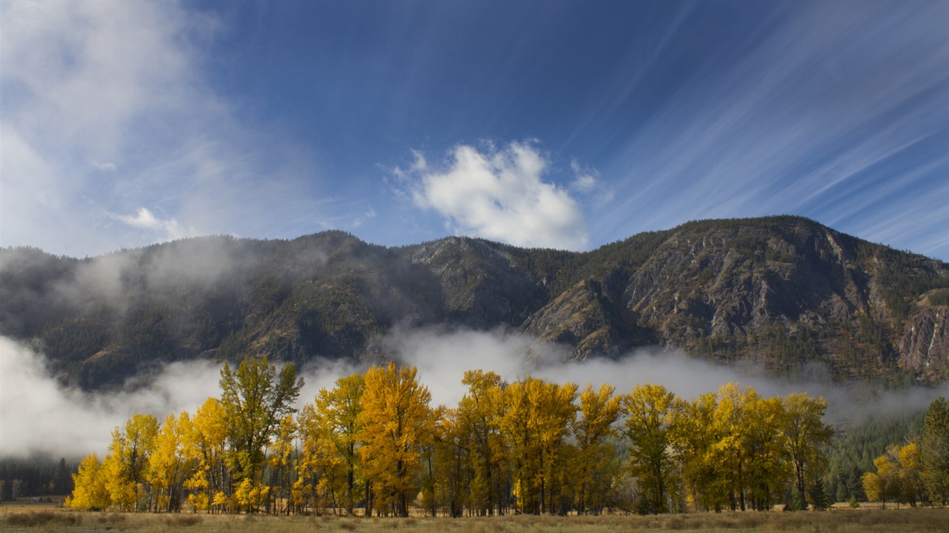 Foggy podzimní listí a stromy HD Tapety na plochu #9 - 1366x768