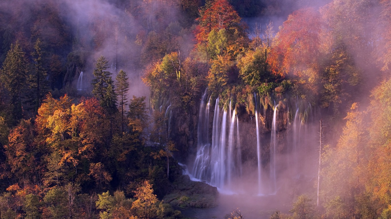 雾的秋天，红叶树木，高清壁纸11 - 1366x768