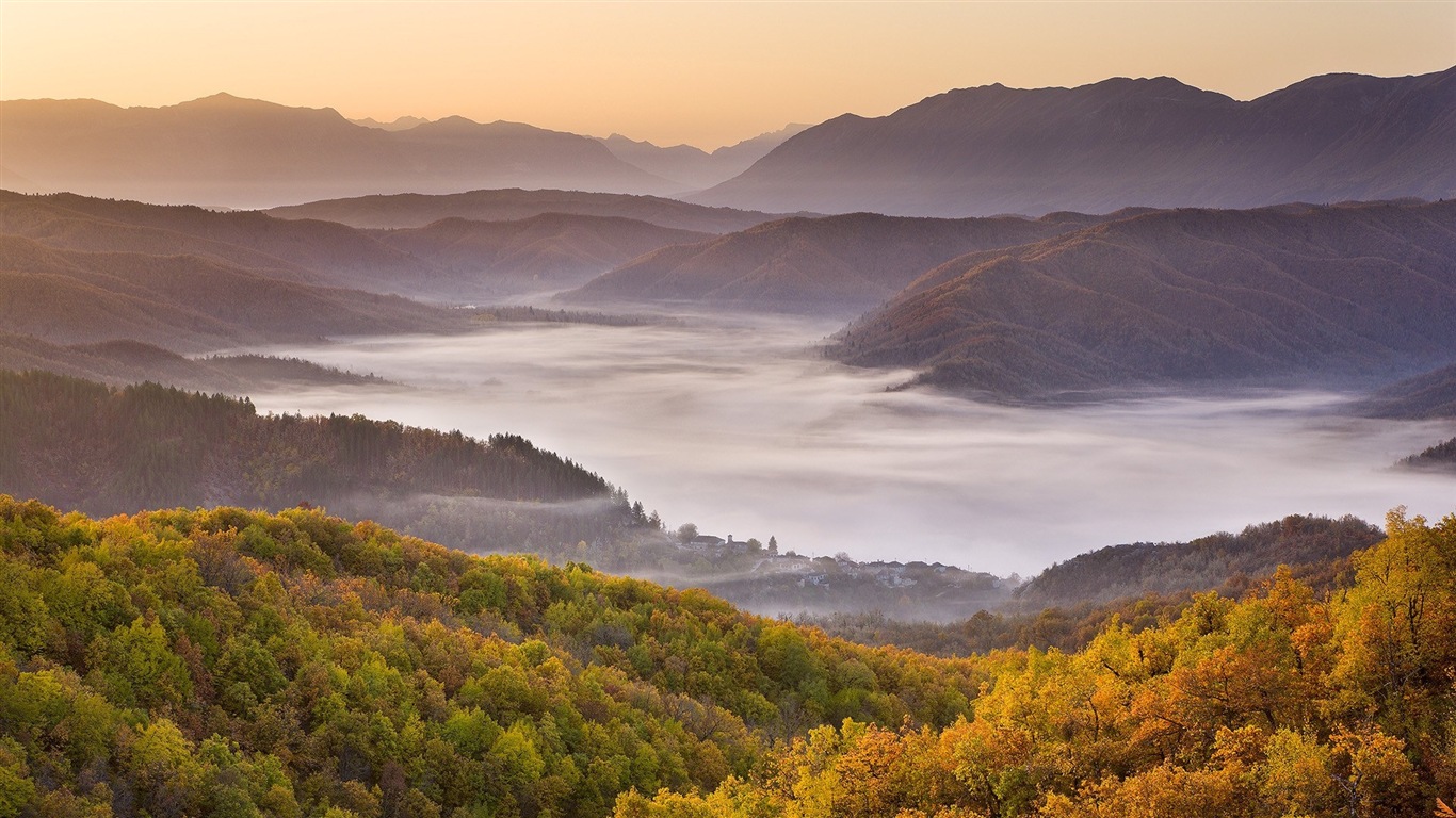 Foggy podzimní listí a stromy HD Tapety na plochu #16 - 1366x768