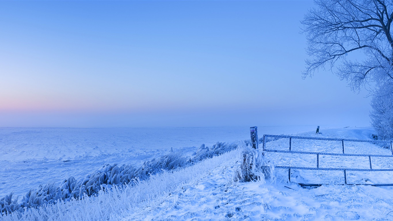 Красивая холодная зима снег, Windows 8 панорамные картинки на рабочий стол #2 - 1366x768