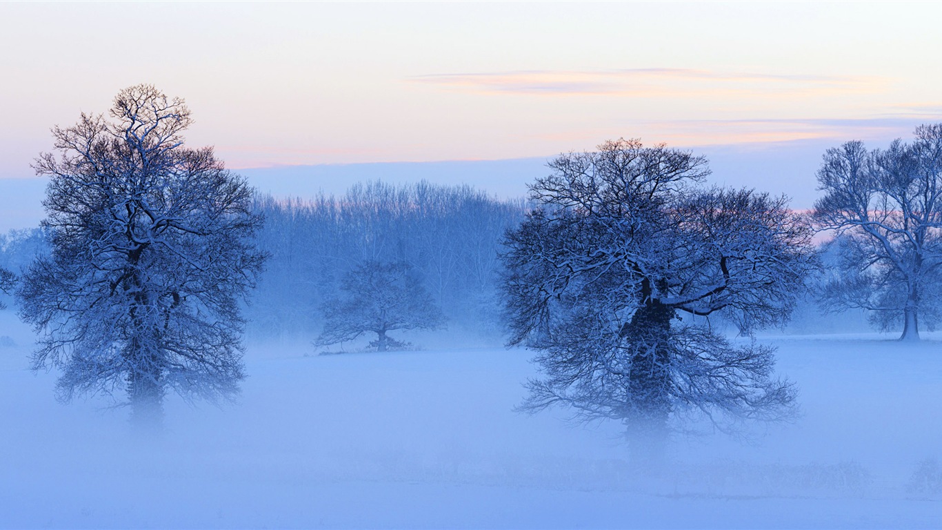 寒冷冬天美丽的雪景，Windows 8 全景宽屏壁纸6 - 1366x768