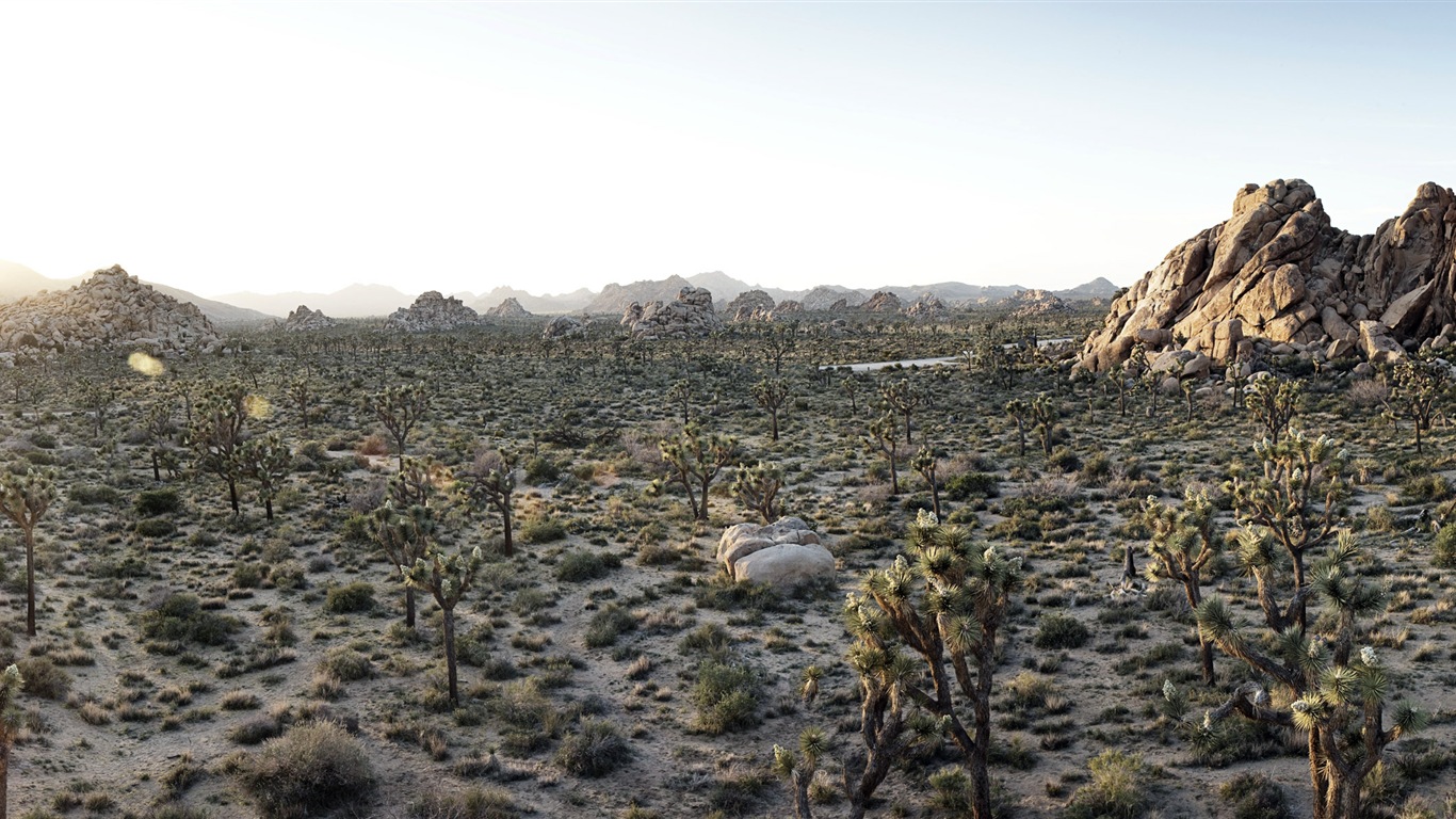 暑くて乾燥した砂漠、Windows 8のパノラマワイドスクリーンの壁紙 #9 - 1366x768