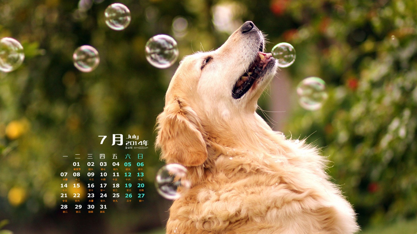 Juillet 2014 calendriers fond d'écran (2) #11 - 1366x768