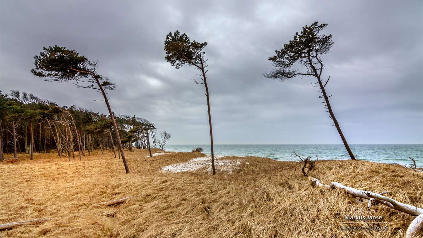 독일의 아름다운 해안 풍경, 윈도우 8의 HD 배경 화면 #18 - 1366x768
