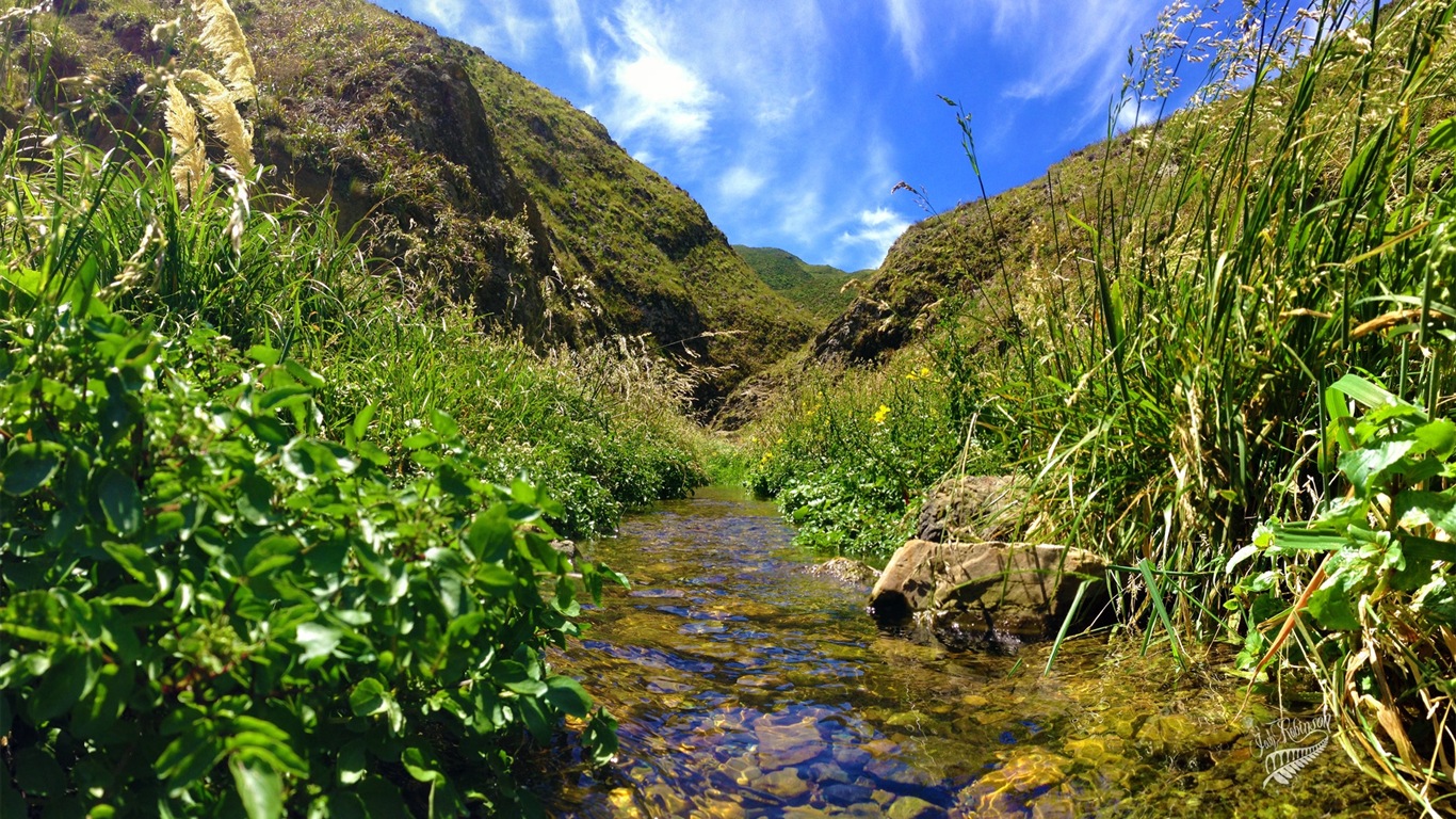 뉴질랜드의 아름다운 풍경, 윈도우 8 테마 배경 화면 #8 - 1366x768