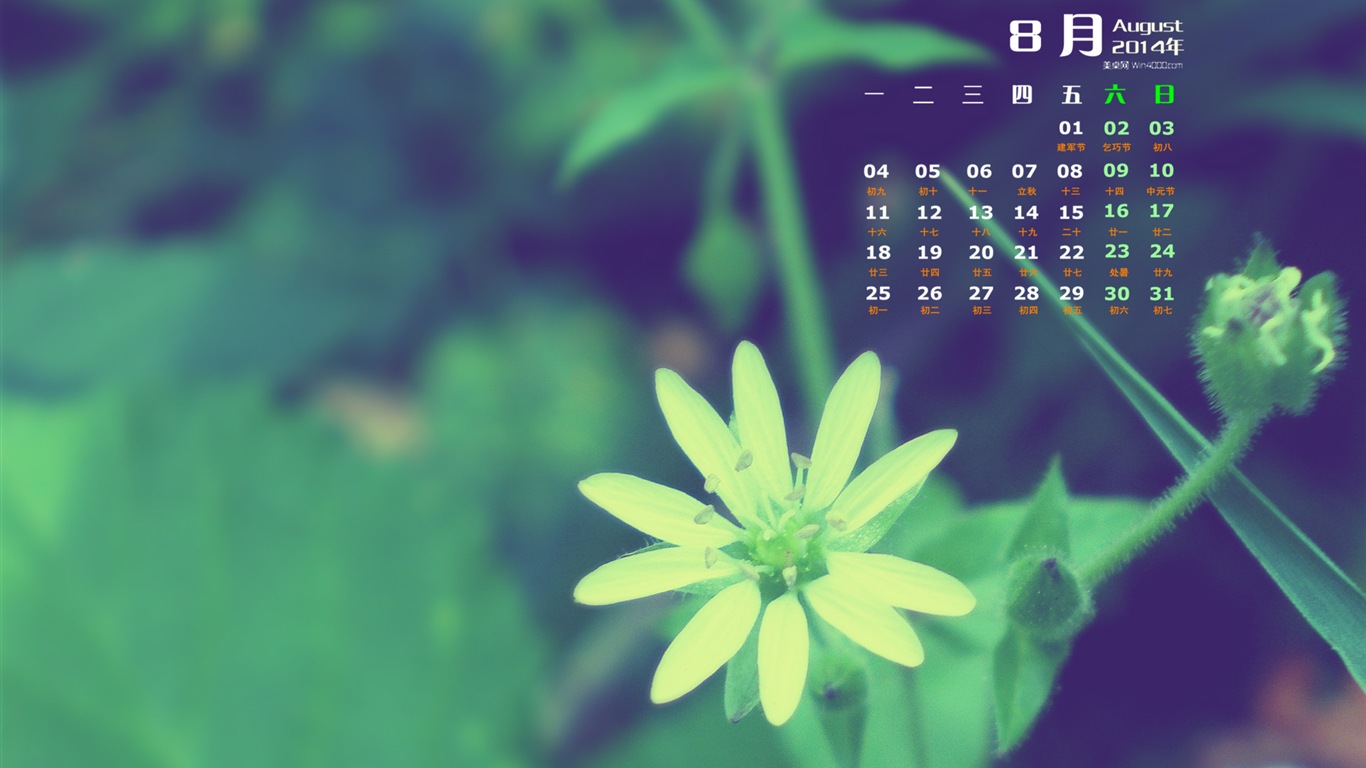 August 2014 calendar wallpaper (1) #15 - 1366x768