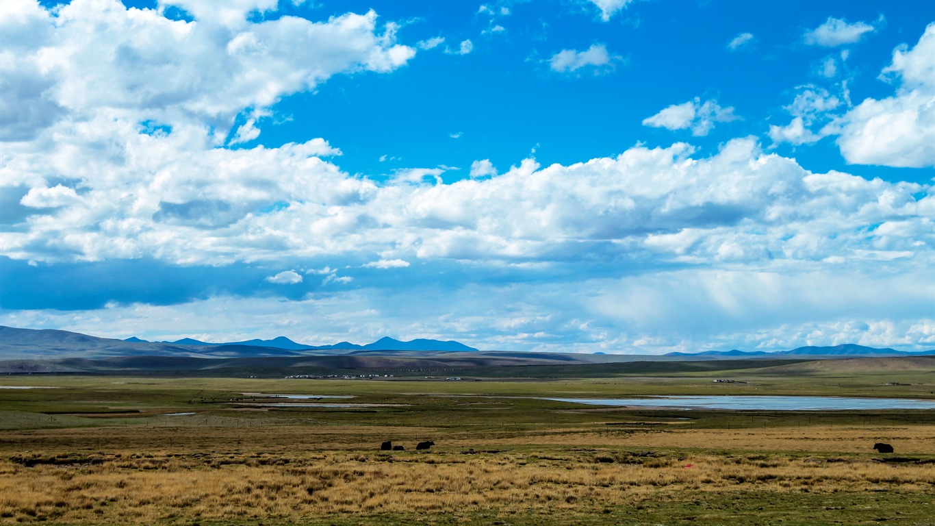 Plateau Qinghai beau fond d'écran de paysage #18 - 1366x768