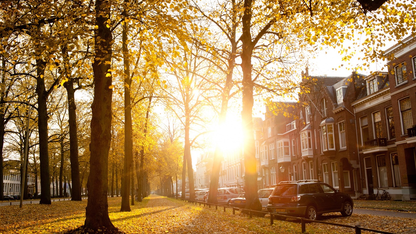 Soleil lacs de la forêt beauté de la nature d'écran HD #2 - 1366x768