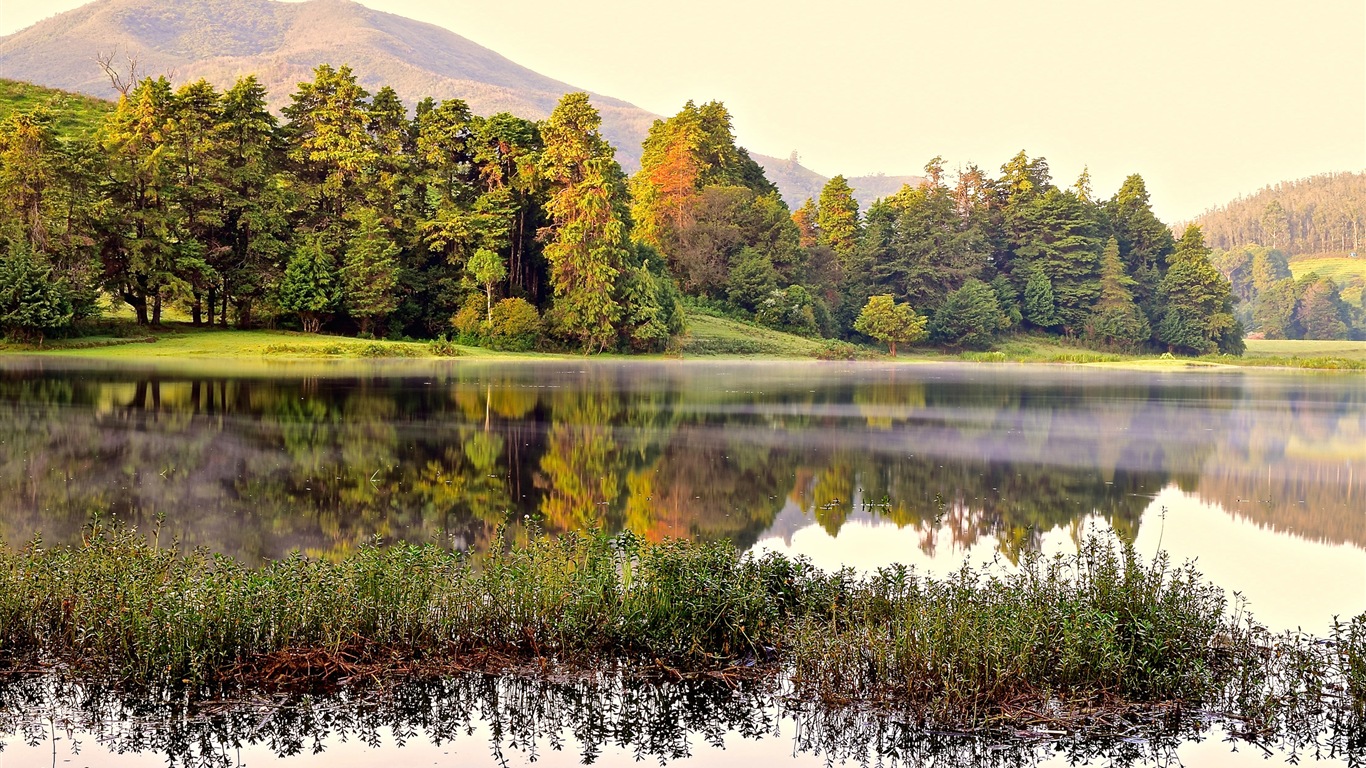 Sunshine lagos forestales belleza de la naturaleza HD papel tapiz #14 - 1366x768