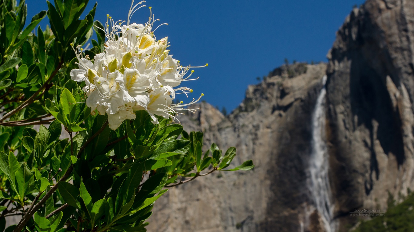 Windows 8 Thema, Yosemite National Park HD Wallpaper #4 - 1366x768