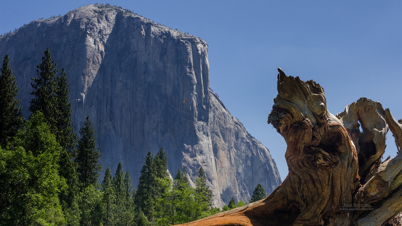 Windows 8 Thema, Yosemite National Park HD Wallpaper #10 - 1366x768