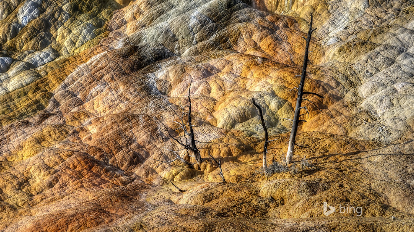 Oktober 2014 Bing Landschaft HD Wallpaper #17 - 1366x768