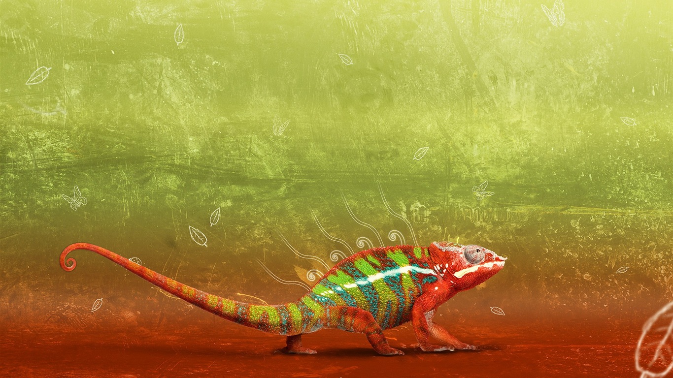 Animales colorido fondos de pantalla de alta definición camaleón #5 - 1366x768