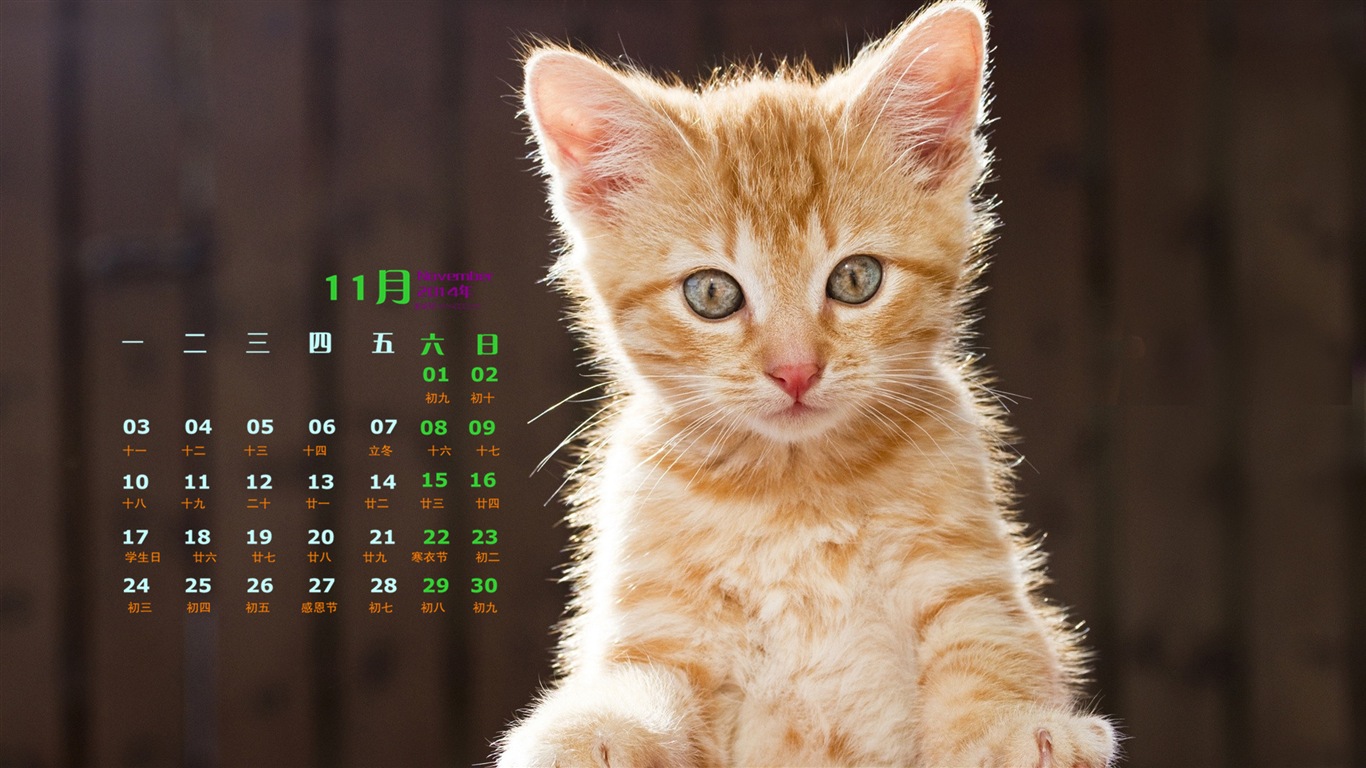 Ноябрь 2014 Календарь обои (1) #5 - 1366x768