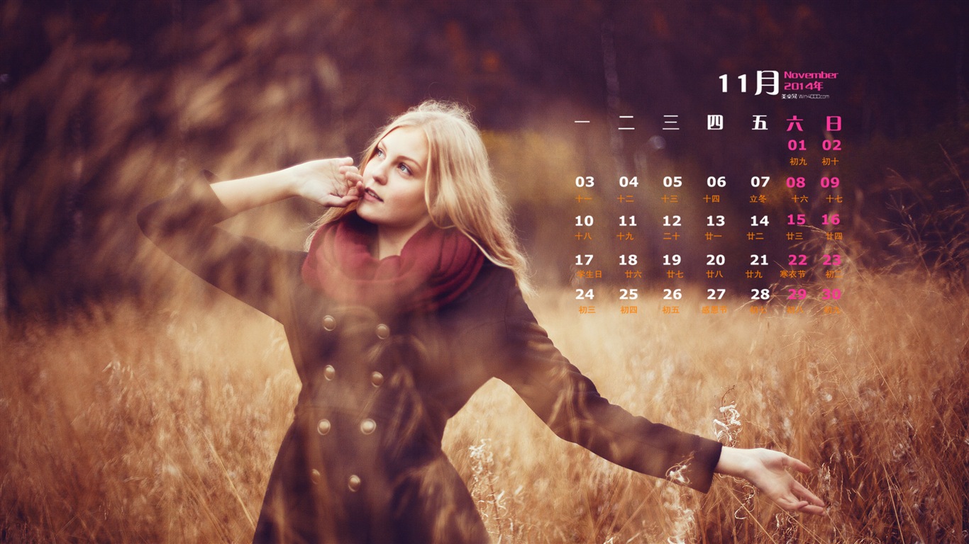 Ноябрь 2014 Календарь обои (2) #4 - 1366x768